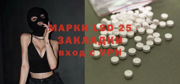 винт Липки