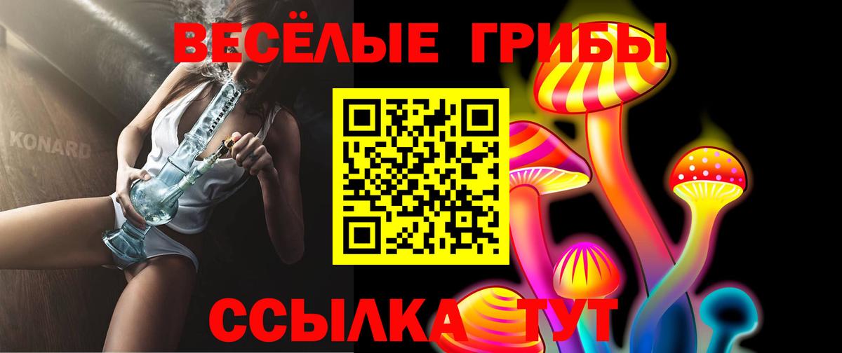 Галлюциногенные грибы Psilocybe  Вход с VPN  Лангепас  где купить   Галлюциногенные грибы Cubensis 